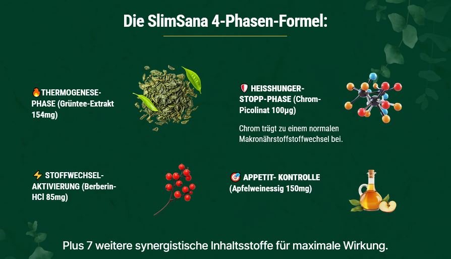 Slimsana Inhaltsstoffe