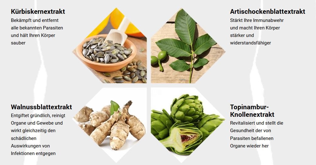 Nemanex Tropfen Inhaltsstoffe